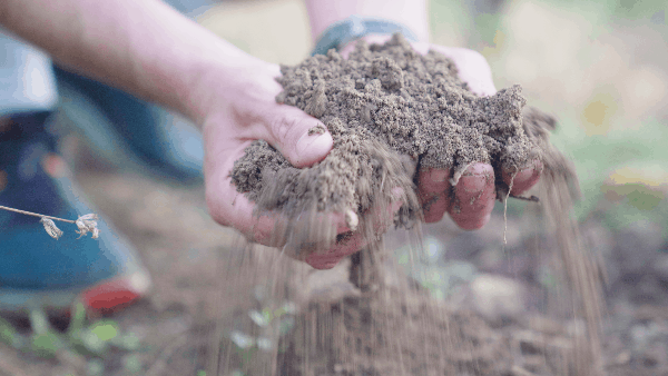 Domaine Niero - Condrieu Côtes Rôtie Saint Joseph Crozes Hermitages