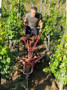 Travail de sol Travaux d'été Domaine Niero condrieur côte rotie saint joseph Crozes Hermitage